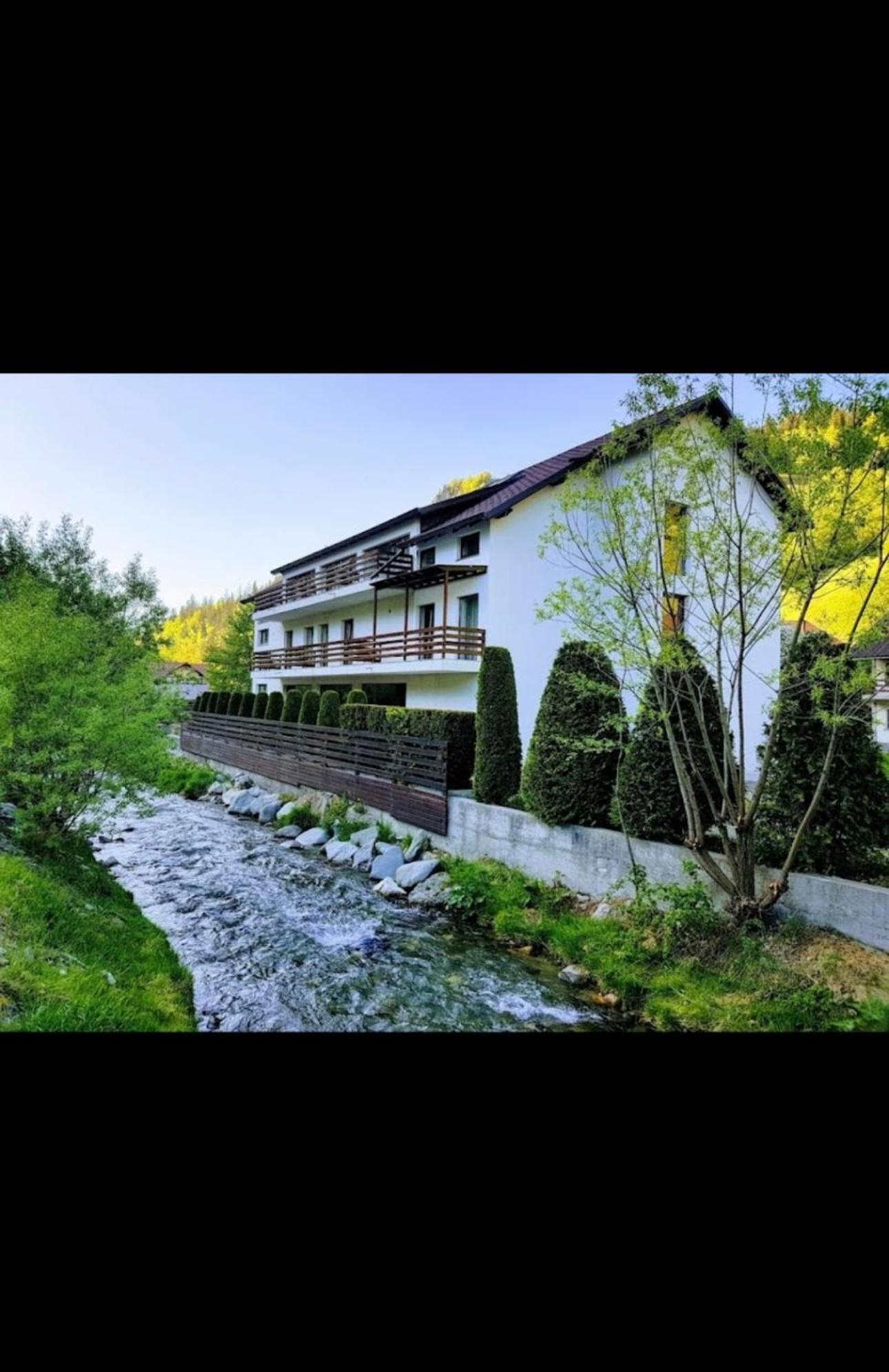 House Of River Moeciu De Sus Ngoại thất bức ảnh